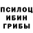 Галлюциногенные грибы мицелий Louis Sparano